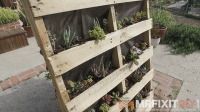 DIY pallet garden