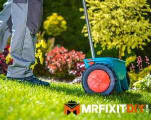 overseeding lawn lawn maintenance spring 3 things to get your lawn ready for summer